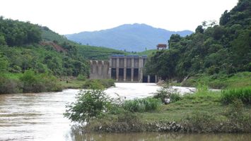 UBND tỉnh trả lời kiến nghị của cử tri huyện Quỳ Châu về hỗ trợ thiệt hại lúa nước do thủy điện Châu Thắng xả lũ