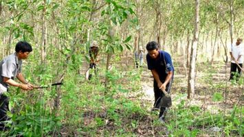 Cử tri phản ánh Nông trường Cờ Đỏ chậm triển khai việc ký kết hợp đồng giao khoán theo Nghị định 168/2016/NĐ-CP của Chính phủ