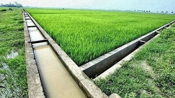 UBND tỉnh trả lời kiến nghị của cử tri huyện Hưng Nguyên về mức giá sản phẩm, dịch vụ công ích thủy lợi