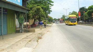 Đoàn ĐBQH tỉnh Nghệ An quan tâm nắm bắt, xử lý kịp thời kiến nghị cử tri và đơn thư công dân