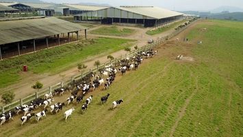 Trả lời kiến nghị cử tri xã Nghĩa Hồng, huyện Nghĩa Đàn (nay là xã  Nghĩa Mai) về hỗ trợ đào tạo nghề, chuyển đổi nghề và tìm kiếm việc làm