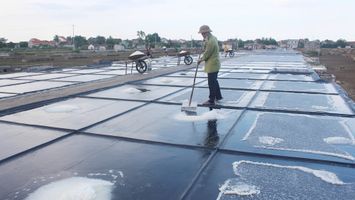 Trả lời kiến nghị cử tri huyện Quỳnh Lưu về khó khăn trong sản xuất muối và giải pháp hỗ trợ phát triển nghề muối