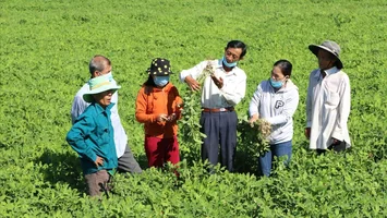 Cử tri đề nghị nâng mức hỗ trợ chuyển đổi nghề, tạo việc làm bền vững cho các hộ dân bị thu hồi đất nông nghiệp