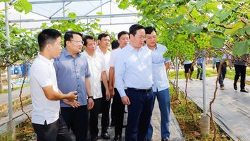 Chuyển đổi số từ chính quyền cấp xã: Muốn đi xa cần bắt đầu từ rất gần