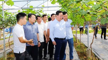 Chuyển đổi số từ chính quyền cấp xã: Muốn đi xa cần bắt đầu từ rất gần