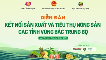 TRỰC TIẾP: Kết nối chuỗi giá trị nông sản vùng Bắc Trung bộ