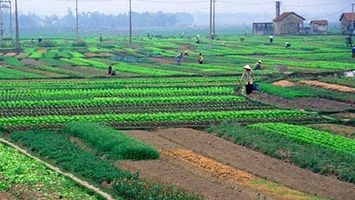 Bộ Nông nghiệp và Môi trường trả lời kiến nghị cử tri về hỗ trợ chuyển đổi nghề nghiệp cho người dân bị ảnh hường do thu hồi đất
