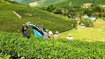 Triển khai hiệu quả Chương trình giảm nghèo bền vững gắn với xây dựng nông thôn mới
