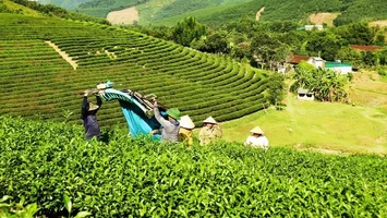 Triển khai hiệu quả Chương trình giảm nghèo bền vững gắn với xây dựng nông thôn mới