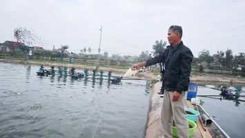 “Lối thoát” cho những ao tôm kém hiệu quả ở vùng bãi ngang