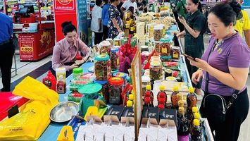 Cử tri phường Thành Vinh kiến nghị xử lý hợp tác xã hoạt động hình thức