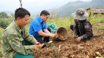 Từ ruộng đồng đến thị trường: đường đi của giá trị nông sản Nghệ An