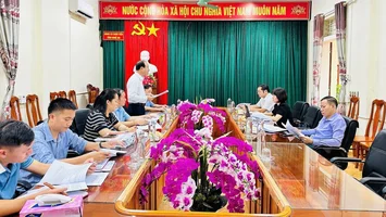Phát huy vai trò của tổ đại biểu HĐND trong hoạt động giám sát – kinh nghiệm từ thực tiễn tổ đại biểu số 19
