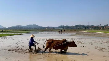 Trả lời kiến nghị cử tri xã Xuân Lâm về tu sửa trạm bơm và hệ thống kênh mương tưới tiêu, phục vụ sản xuất