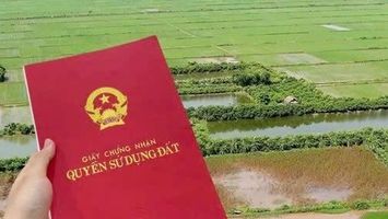 Cử tri Nam Thanh kiến nghị đẩy nhanh cấp giấy chứng nhận quyền sử dụng đất nông nghiệp