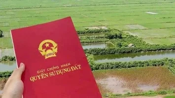 Cử tri Nam Thanh kiến nghị đẩy nhanh cấp giấy chứng nhận quyền sử dụng đất nông nghiệp