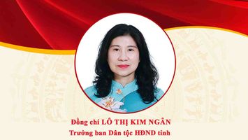 Chân dung đồng chí Lô Thị Kim Ngân - Trưởng ban Dân tộc HĐND tỉnh Nghệ An