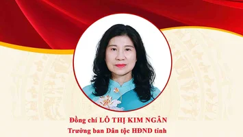 Chân dung đồng chí Lô Thị Kim Ngân - Trưởng ban Dân tộc HĐND tỉnh Nghệ An