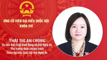 Chương trình hành động của bà Thái Thị An Chung - ứng cử viên ĐBQH khóa XVI tỉnh Nghệ An
