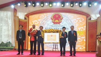 Đồng chí Nguyễn Nam Đình, Phó Chủ tịch Thường trực HĐND tỉnh dự lễ đón nhận bằng xếp hạng Di tích lịch sử - văn hóa cấp tỉnh Đền Cả, xã Đại Đồng