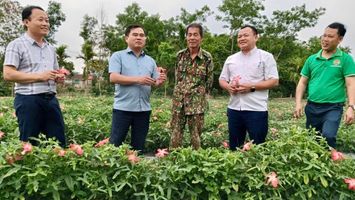 Nghệ An: Chủ tịch UBND tỉnh sẽ gặp mặt, đối thoại với nông dân