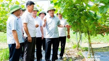 Bí thư Tỉnh ủy Nguyễn Khắc Thận thăm mô hình sản xuất, kinh doanh tại các xã Minh Hợp, Tam Hợp và Quỳ Hợp