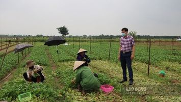 Trả lời kiến nghị cử tri về thủ tục cấp Giấy chứng nhận quyền sử dụng đất trang trại, gia trại