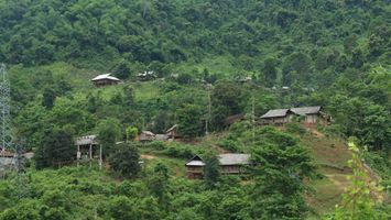Tăng cường quản lý, sử dụng hiệu quả diện tích đất lâm nghiệp tại Hữu Kiệm