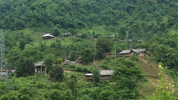 Tăng cường quản lý, sử dụng hiệu quả diện tích đất lâm nghiệp tại Hữu Kiệm