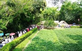 THÁNG 5 RỒI, VỀ KẺ SEN THÔI