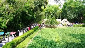 THÁNG 5 RỒI, VỀ KẺ SEN THÔI