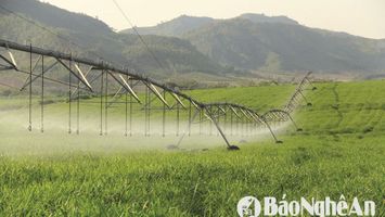 Nghệ An: chính sách hỗ trợ phát triển khoa học, công nghệ, đổi mới sáng tạo và chuyển đổi số trên địa bàn tỉnh Nghệ An giai đoạn 2026 - 2030