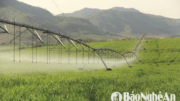 Nghệ An: chính sách hỗ trợ phát triển khoa học, công nghệ, đổi mới sáng tạo và chuyển đổi số trên địa bàn tỉnh Nghệ An giai đoạn 2026 - 2030