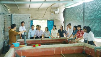 Giám sát thực thi chính sách an toàn thực phẩm tại xã Hợp Minh