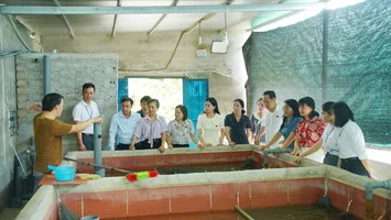 Giám sát thực thi chính sách an toàn thực phẩm tại xã Hợp Minh