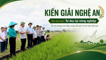 KIẾN GIẢI NGHỆ AN - Bài 1: Tư duy lại nông nghiệp