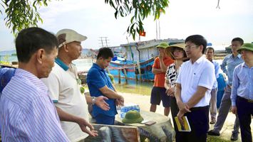 Đưa Nghị quyết của HĐND tỉnh vào cuộc sống: ghi nhận từ thực tiễn phường Tân Mai