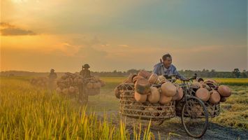 Làng nồi đất Trù Sơn - Đi lùi để giữ lại hồn xưa
