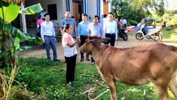 Đồng hành cùng người dân trước tình hình tăng giá vật tư nông nghiệp và phát triển các mô hình trang trại, vườn đồi