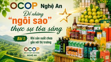 OCOP Nghệ An - Để những “ngôi sao” thực sự tỏa sáng - Bài 1: Khi sản xuất chưa gắn với thị trường