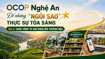 OCOP Nghệ An – Để những “ngôi sao” thực sự tỏa sáng - Bài 2: Hành trình từ sản phẩm đến thương hiệu