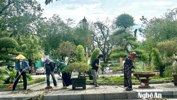 Đẩy nhanh phân bổ kinh phí hỗ trợ khắc phục thiệt hại sau bão