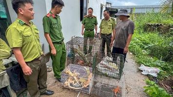 Bộ Nông nghiệp và Môi trường sẽ sửa đổi các nghị định xử phạt trong lĩnh vực nông nghiệp để phù hợp chính quyền hai cấp