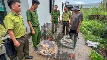 Bộ Nông nghiệp và Môi trường sẽ sửa đổi các nghị định xử phạt trong lĩnh vực nông nghiệp để phù hợp chính quyền hai cấp