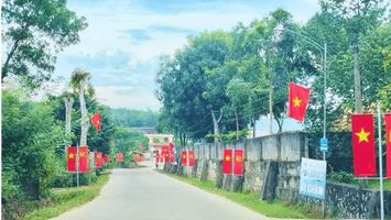 Bảo đảm giao thông an toàn, thuận lợi trên tuyến ĐT.534D qua Nghĩa Hành
