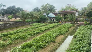 Tháo gỡ vướng mắc trong cấp Giấy chứng nhận quyền sử dụng đất trang trại, gia trại