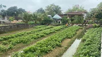 Tháo gỡ vướng mắc trong cấp Giấy chứng nhận quyền sử dụng đất trang trại, gia trại