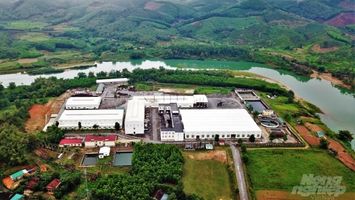 Tăng cường giám sát việc chấp hành pháp luật về môi trường tại Nhà máy giấy Tân Hồng