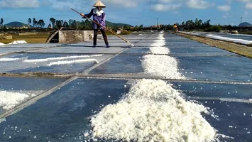 Quan tâm hỗ trợ phát triển sản xuất muối và khôi phục sản xuất do thiên tai