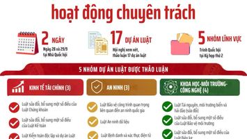 [Infographic] Hội nghị đại biểu Quốc hội hoạt động chuyên trách thứ nhất, nhiệm kỳ khóa XVI